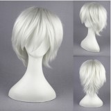 30cm Short Silver White Hitman Reborn Byakuran·Gesso Synthetic Anime Cosplay Wig CS-015A