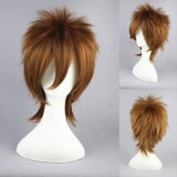 35cm Short Katekyo Hitman Reborn Sawada Tsunayoshi Synthetic Anime Hair Wig Brown Cosplay Wig CS-021A