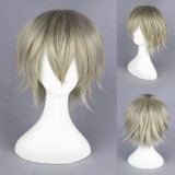 35cm Short Final Fantasy Hope·Estheim Wig Synthetic Anime Cosplay Hair Wigs CS-068A