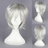 35cm Short K Isana Yashiro Wig Silver White Synthetic Anime Cosplay Hair Wigs CS-071A