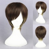 35cm Short Color Mixed Boy Wigs Synthetic Anime Hair Cosplay Lolita Wig CS-097A