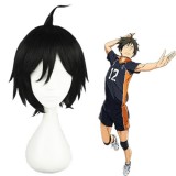 30cm Short Black Haikyuu!! Yamaguchi Tadashi Wig Synthetic Anime Cosplay Hair Wig CS-186D