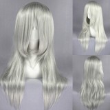 65cm Long Straight Final Fantasy Kadaj Wig Silver Gray Synthetic Anime Cosplay Hair Wigs CS-162F