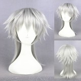 35cm Short Silver Gray Touken Ranbu Online Tsurumarukuninaga Wig Synthetic Anime Cosplay Wigs CS-231M