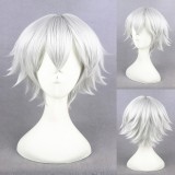 30cm Shhort Silver White The kingdom of Sleeping and 100 princes Wig Synthetic Anime Cosplay Wigs CS-273C