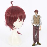 35cm Short Dark Red Violet Evergarden Hawkins Wig Synthetic Anime Hair Cosplay Wigs CS-367E