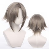 35cm Short Gray Virtual YouTuber Anime Mysta Wig Cosplay Synthetic Heat Resistant Hair Wigs CS-498C