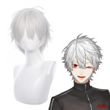 35cm Short Straight Silver Virtual YouTuber Gamers Wig Cosplay Synthetic Anime Heat Resistant Hair Wigs CS-498G