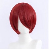 30cm Short Bobo Wig Cosplay Multi Colors MSN Straight Synthetic Anime Hair Cosplay Heat Resistant Wigs For Party