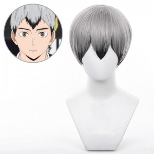 30cm Short Gray&Black Mixed Bobo Haikyuu Shinsuke Kita Wig Synthetic Anime Cosplay Hair Wigs CS-186M