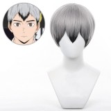 30cm Short Gray&Black Mixed Bobo Haikyuu Shinsuke Kita Wig Synthetic Anime Cosplay Hair Wigs CS-186M